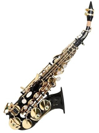 Professionell Saxofon Altsaxofon I B Dur Med Fodral Och Tillbehör 2 Färger Tillgängliga(Black gold)
