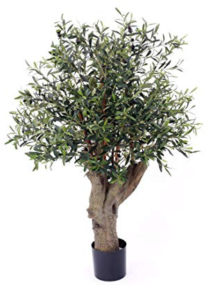 Oliv med tjock stolpe, träd, blad, 3468, 42 oliv, höjd ca 110 cm med kruka UV geschützt