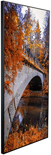Ecowelle Calentador de Infrarrojos Imagen | 1200 vatios | 60x120cm | Calefacción por Infrarrojos