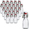 gouveo 24er Set Glasflaschen 100 ml rund mit Bügelverschluss - Kleine Bügelflasche zum Befüllen - Bügelverschlussflasche für Likör, Schnaps, Saft, Öl (BFR100)
