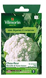 Vilmorin - Sachet graines Chou-fleur Merveille de toutes saisons