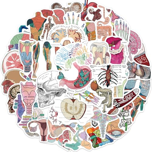 PNGIF Cartoon Organ Anatomie Diagramm Aufkleber 50 Stück, Wasserfeste Sticker für MacBook Laptop Koffer Fahrrad Motorrad Helm Scrapbook Notebook Skateboard Stickerbomb