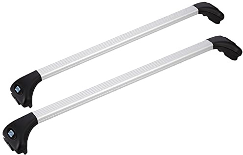 FABBRI ALU VIVA 2 12AW6700 Baca para turismo con reling integrado