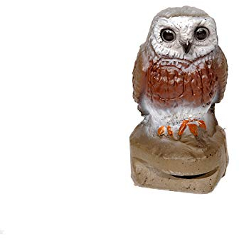 Franzbogen - Steinkauz; Ziel BZW. Zielscheibe für den Bogensport, Bogenschießen, Pfeil und Bogen, Armbrust Sport, aus hochwertigem langlebigen Material