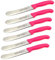 wuppas 2 Brötchenmesser Solingen Buckelsmesser Neon Pink Solinger Buttermesser Frühstücksmesser Küchenmesser 21,5 cm Spezialstahl 1,5mm stark rostfrei Messer echter Handabzug