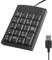 Raykce USB Numeric Keypad, Wire Mini Number Pad Portable USB Numeric Keyboard for Laptop, PC Computer Desktop Computers Notebook 19 Key (Black)