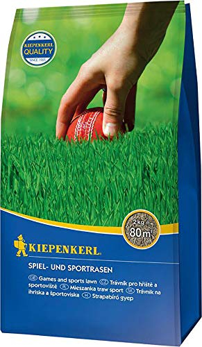 Kiepenkerl Spiel- und Sportrasensamen 651302, 2 kg - Sehr belastbar & robust, schnelle Keimung, ideal für Rasenteppich, Rasensaat schnellkeimend, tiefgrüne Rasenfarbe