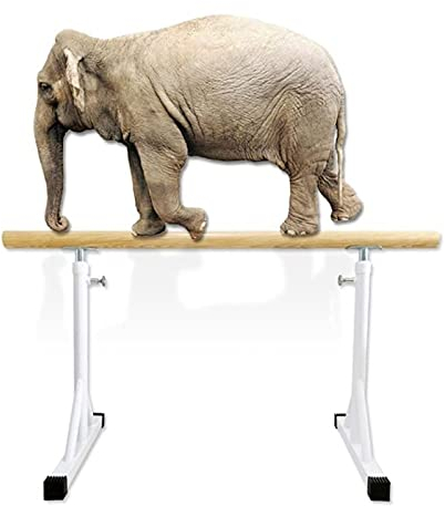 Ballettstange, tragbar, für Zuhause, für Erwachsene und Kinder, verstellbare einzelne Ballettstange, freistehende Stangenausrüstung, perfekt für Übungen, Balance, Gebäudekern – Weiß (Größe: 1,5 m)