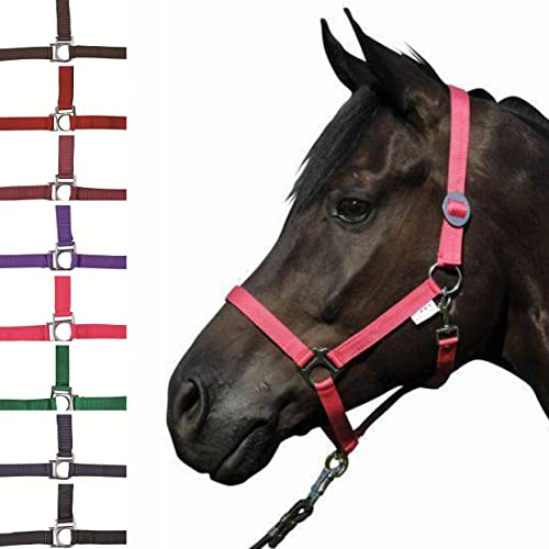HKM - Cavezza Stars Economy, Colore: Lilla