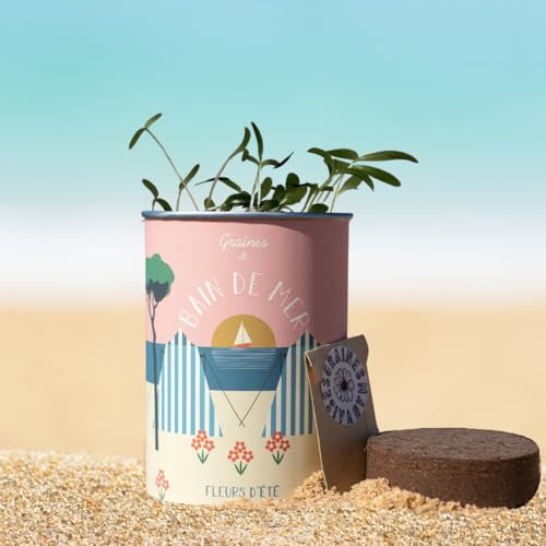 Kit de Graines de Fleurs d'Été à Planter - Bains de Mer | Mélange Bleuets, Cosmos | Jardin, Balcon, Terrasse | Facile à Planter & Rapide à Fleurir