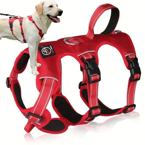 Lalazoo ELBA Sicherheitsgeschirr Hund ausbruchsicher – Verstellbares No-Pull Hundegeschirr gepolstert & reflektierend mit Griff & 6-Punkt-Verstellung – Robustes Anti-Ausbruch Geschirr – Rot, L