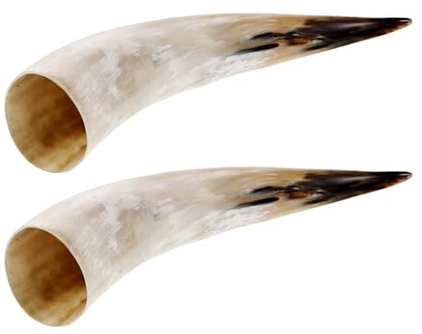 Ciieeo 2 jarrones rústicos de Cuerno para arreglos - Arte de Pared con Cuerno de Toro - Jarrón de Pared con Encanto Rural del Oeste para decoración de Cocina, Dormitorio y Eventos