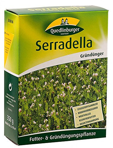 Quedlinburger 206006 Serradella 350 g (Gründünger)