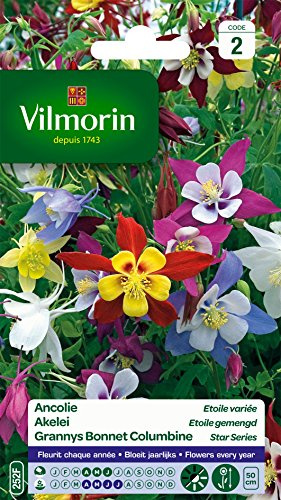 Vilmorin 5135842 Ancolie etoile variée Multicolore 9 x 0,5 x 16 cm