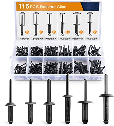 GOOACC 115 Pcs Automotive Nylon Universal Pop Rivet Assortment - 6 Most Popular Sizes & Applications for GM Ford Chrysler VW
