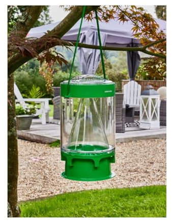 MASTER TRAP BY FAVEX - Piège à mouches L - Piège extérieur Anti-mouches + recharge - Jusqu'à 60 000 mouches - Piège transparent à suspendre ou à poser, Vert