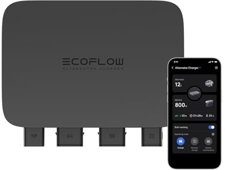 Chargeur de Batterie de Voiture EcoFlow 800 W, Chargeur Rapide et Polyvalent 3 en 1, Mainteneur de Batterie et démarreur de Secours, Installation Facile,Recharge des Stations électriques