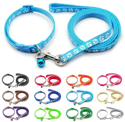 Foyscr Valphalsband set med koppel, hundhalsband och koppel, justerbar hundkrage, mjukt husdjurshalsband i nylon för valp, katt, bekväm och hållbar (Himmelsblå)