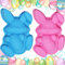 2 Stück Hase Kuchenform Silikon, Osterhasen-Eierform, Schokoladenformen Ostern Hase, Osterhasen-Seifenformen Zum Backen, Silikonformen Ostern Backform, für Kuchen Kekse Süßigkeiten Gelee, Blau+Rosa