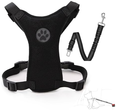 Harnais Chien Voiture, Gilet Réglable en Mesh avec Ceinture de sécurité Élastique (Noir, M)