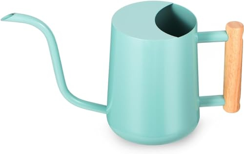 Regadera para plantas de interior, 1 l, regadera pequeña de metal para interiores, acero inoxidable, moderna y decorativa con caño largo para casa, plantas, bonsái, jardín al aire libre, flores (verde