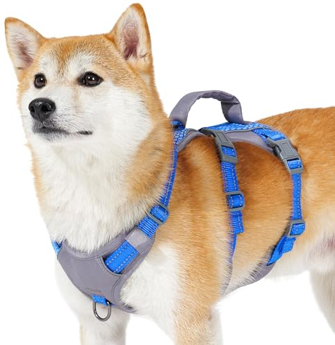 Huntboo Sicherheitsgeschirr Hund Ausbruchsicher, Panikgeschirr für Hunde, Reflektierendes Geschirr Hund mit Griff, Verstellbare Hundegeschirr für kleine, mittelgroße und große Hunde (Meeresblau,S)