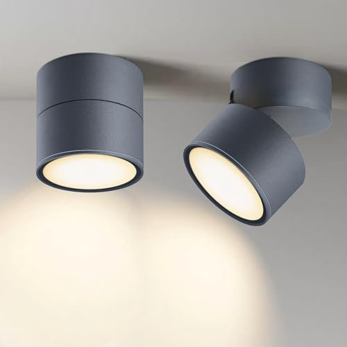 EBION GX53 Aufbauspot Anthrazit, Deckenspots 90° Schwenkbar,Aufbau Spots IP54 Wasserdicht, Strahler Innen Für Schlafzimmer Badezimmer Flur Balkon Geeignet, Rundes Aus Aluminium (Ohne Leuchtmittel)