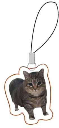 Generiskt sött mobilhänge, mobilband, bärbar katt hund -charm för handväska och ryggsäck dekoration, se beskrivning, Akryl, Se beskrivning
