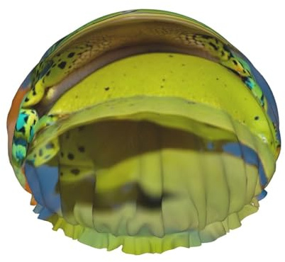 Grand bonnet de douche imprimé grenouille, bandeau élastique, double couche imperméable pour le bain, pour homme et femme