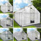 BRAST® Gewächshaus Aluminium mit Fundament | 40 Modelle | 130x190x195cm - 490x250x235cm | TÜV geprüft | 6mm Hohlkammerplatten | rostfrei wetterfest temperaturbeständig | 310x190x195cm Grün