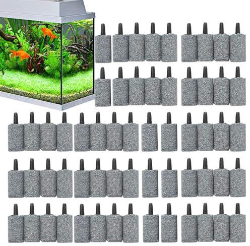 Pietra porosa per acquario, aeratore di ossigenazione per serbatoio, pietra aeratore per pesci, per acquario, terrario, esterno, casa, ufficio, acqua e salata