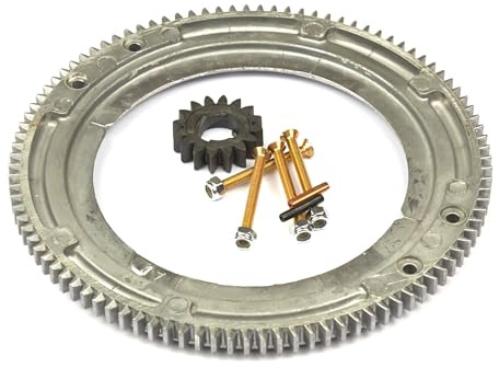 Briggs & Stratton 696537 Ring Gear Replacement for Models 399676 and 392134