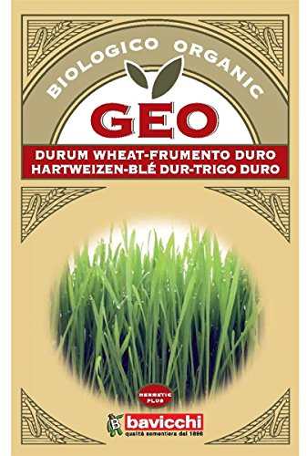 Geo Graine à Germer Blè Dur Brun 12,7 x 0,7 x 20 cm