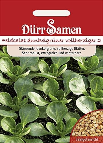 Dürr-Samen - Feldsalat Dunkelgrüner vollherziger Saatgut