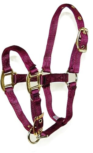 Hamilton Deluxe Horse Halter, 3/4 Triple Ply Nylon with Adjustable Chin Strap, Foal or Mini Horse, 100-200 lbs, Wine