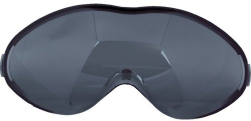 Uvex Ersatzscheibe für Uvex Vollsichtbrille 9302 ultrasonic, Scheibenfarbe: grau, Schutz: 5-2,5