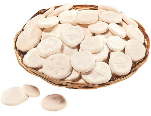 Fun Express Real Sand Dollars Plus Decorative Basket (50 and Dollars) Sea and Ocean Home Décor - VBS Vacation Bible School Supplies/Decor