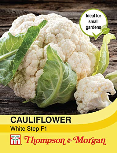 Thompson & Morgan - Vegetables - Cauliflower White Step F1 Hybrid - 30 Seed