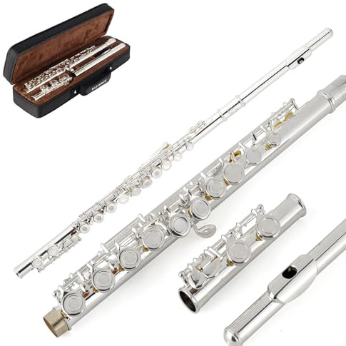 Eastrock Flûtes Traversiere à Trous Ouverts, Flûtes Traversière 16 Trous pour Débutant, Flûte Traversière en Argente avec Support Kit de Tuning Rod Étui de Transport