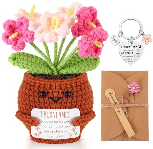 Skylety 3 Regali per Amica Sorella Maestra Piante in Vaso Lavorate a Maglia Portachiavi Biglietti di Auguri con Fiori Secchi Regalo di Ringraziamento per Natale Compleanno(I Buoni Amici)