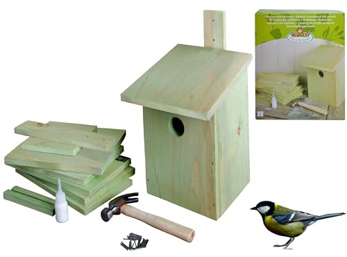 Juego de manualidades, caja nido, kit de construcción, juego de manualidades, niños, casa de pájaros, manualidades, carbonero, madera, esschert, diseño, bricolaje, manualidades, diversión, milagro