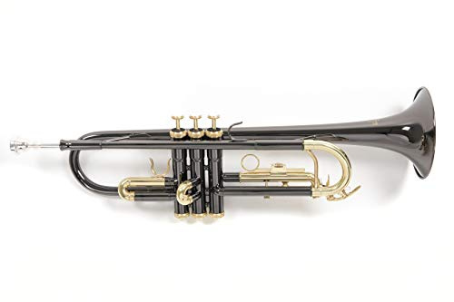 Roy Benson Trompeta Sib TR-101K (diámetro ML, válvulas de acero inoxidable, tudel de latón dorado, diseño elegante, en estuche rectangular ligero, con función de mochila), Antracita