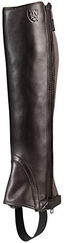 ARIAT BMVY9 Womens Breeze Half Chap Chocolate LT