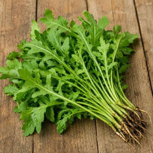 Rucola Coltivata Semi Big Pack 20g – Semi di Eruca Sativa per Orto, Vaso e Giardino, Crescita Rapida, Foglie Aromatiche dal Sapore Intenso, Ideale per Insalate e Cucina