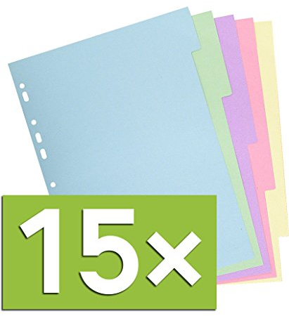 Registro Forever Recy.kart. f.a4 12 Tabs, 5 Tabs, pastello, 15