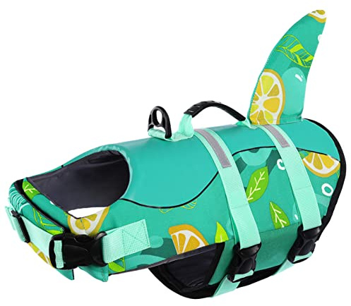CITÉTOILE Gilet de Sauvetage pour Chien, Gilet de Sauvetage pour Chien avec poignée et réfléchissant, avec Une Bonne flottabilité, léger et sûr pour Les Sports Nautiques, Vert, Le Citron, XS