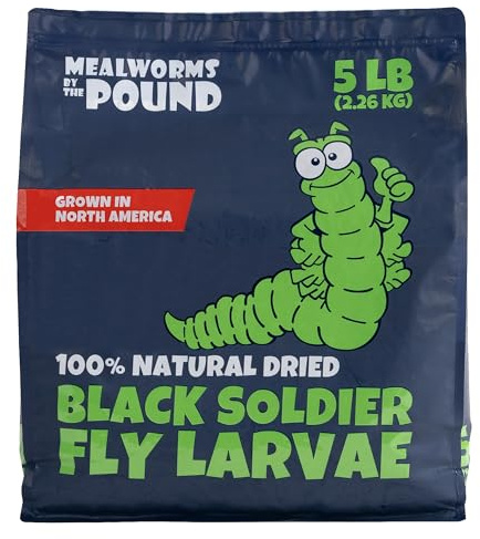 North American Grown Dried Black Soldier Fly Larvae (5lbs) - More Calcium Than Mealworms - Treats for Chickens, Wild Birds, & Reptiles …