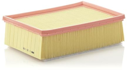 MANN-FILTER C 25 136 Filtro de aire - para Automóviles + Vehículos de transporte