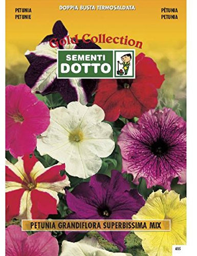 Semi di Petunia Grandiflora superbissima in Mix - h cm 30