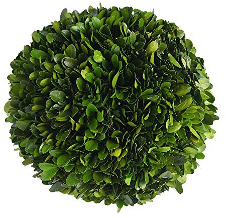 Boxwood Topiary Ball 5 inches Preserved Boxwood Decorative Balls for Wedding, Home, Office, Hotel Decor Indoor Plant Ball Topiary Tree Substitute Christmas Decorative Ball